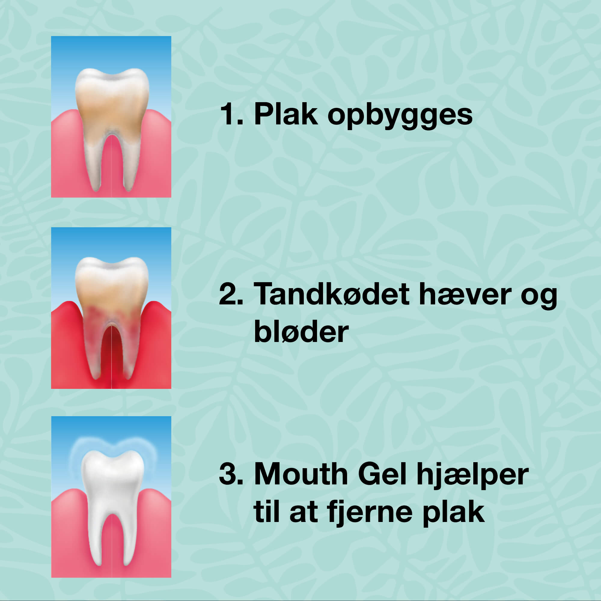 Aloituspakkaus - 5 suunhoitotuotetta — Täydellinen suuhygienia: parodontiitti ja pahanhajuinen hengitys