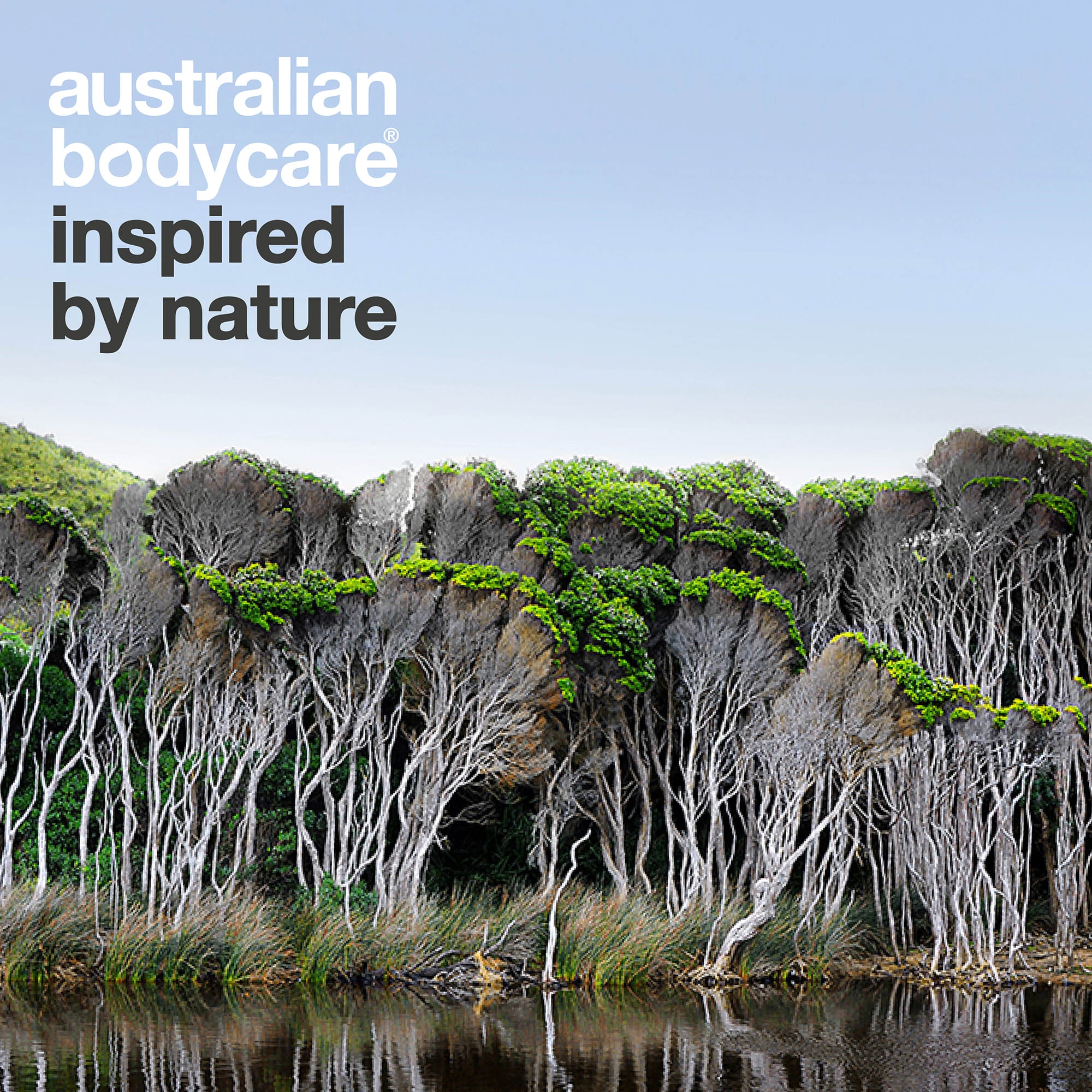 Australian Bodycare – inspired by nature: australialainen maisema teepuineen