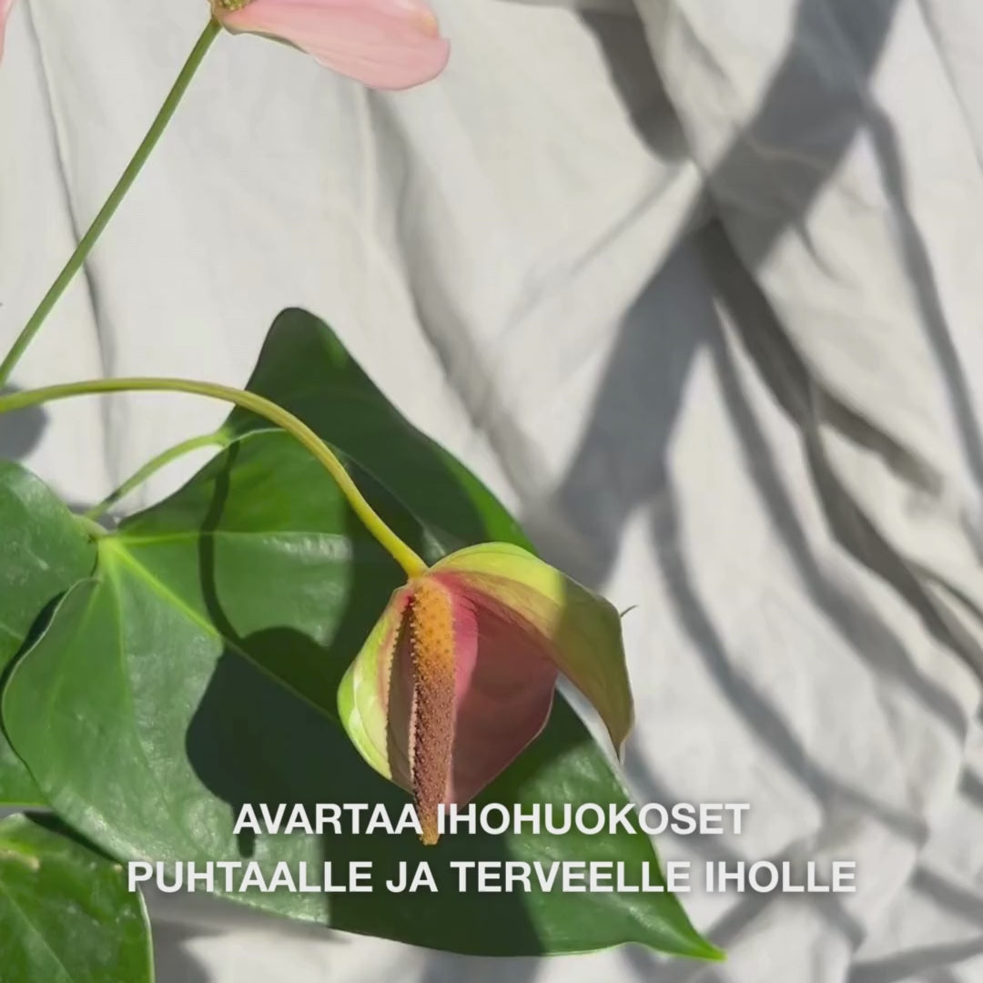 Lähikuva kädestä, joka pyörittää pehmeää silikoniharjaa Face Scrubberia pienin pyörivin liikkein kostean kasvojen ihon päällä: joustavat harjakset kuorivat hellästi, puhdistavat syvältä ja poistavat epäpuhtauksia ja kuolleita soluja, paljastaen sileän ja hehkuvan ihon.
