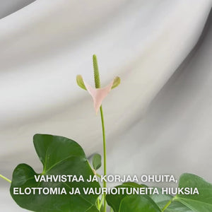 B12-vitamiinishampoo kosteuttaa ja suojaa kuivia hiuksia bond-vaikutuksella. Sisältää B12-vitamiinia, Elaya Renova™:a ja glyseriiniä.