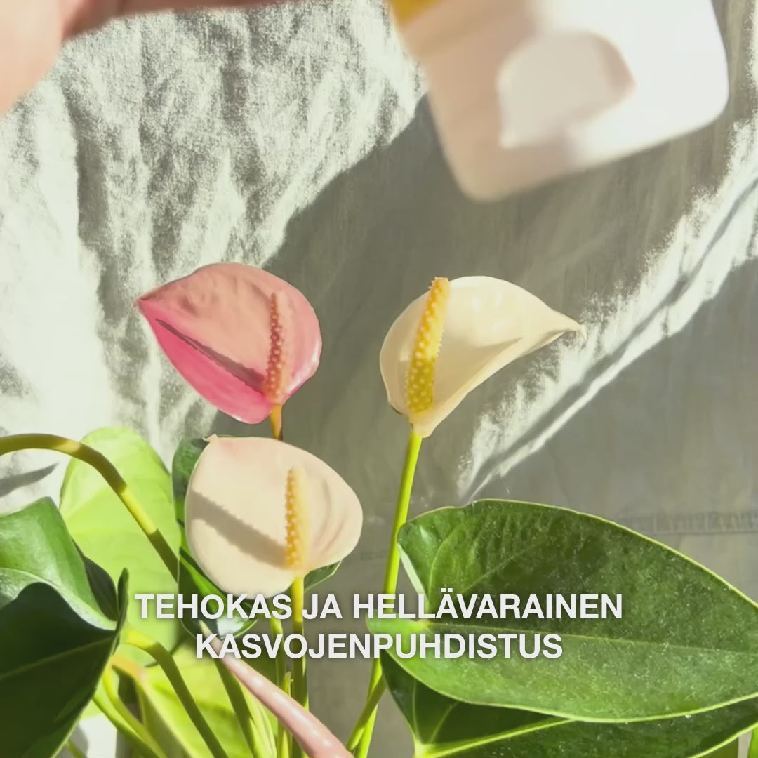 Tuotevideo: Kasvojenpuhdistus epäpuhtaalle iholle