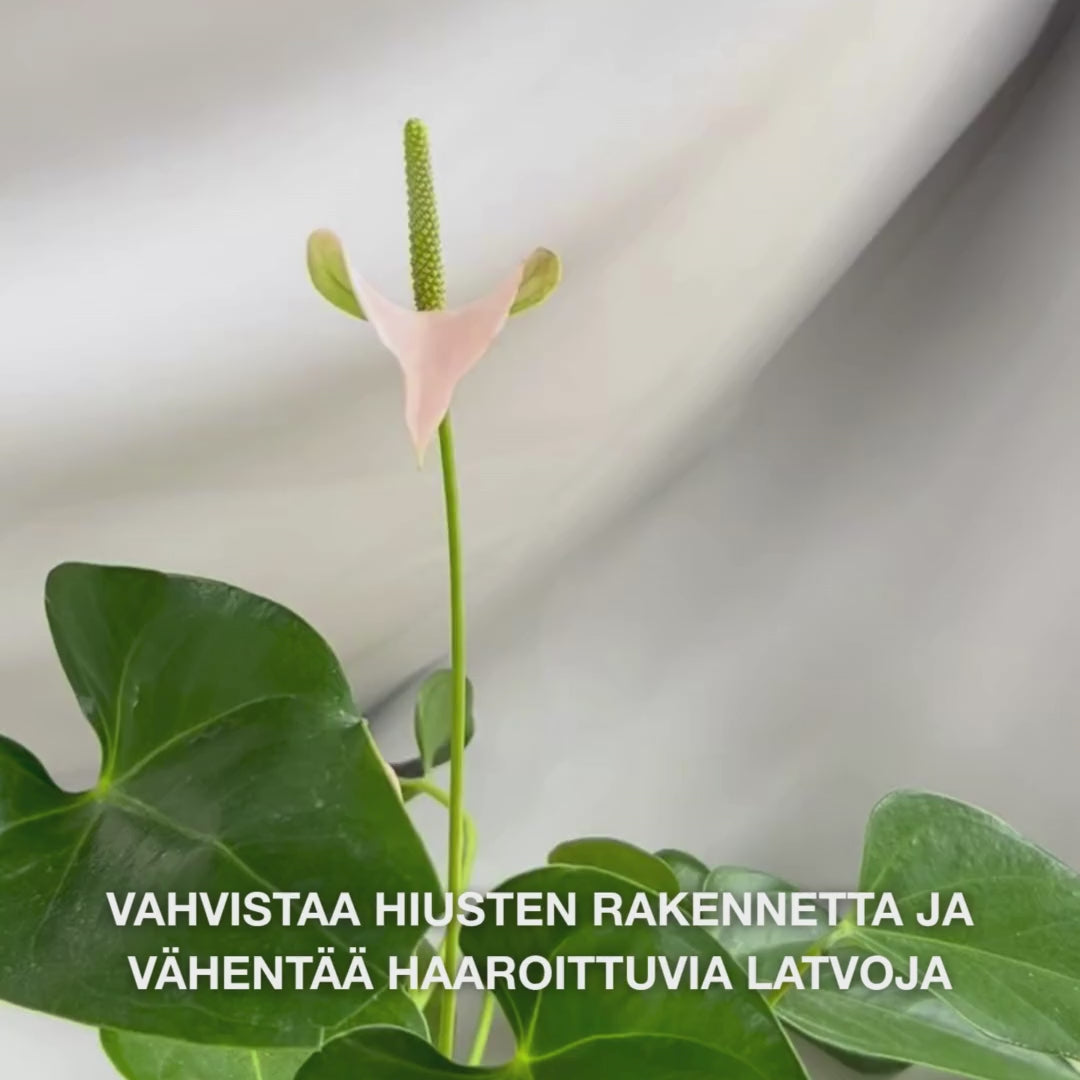 B12-vitamiini hiushoitoaine vaurioituneille hiuksille. Bond-efekti korjaa & vahvistaa. Sisältää B12-vitamiinia, pantenolia & Elaya Renova™