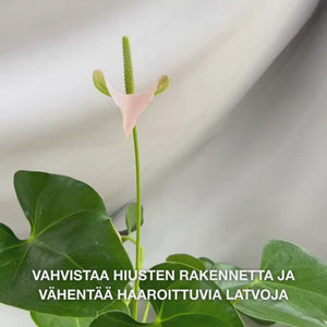 B12-vitamiini hiushoitoaine vaurioituneille hiuksille. Bond-efekti korjaa & vahvistaa. Sisältää B12-vitamiinia, pantenolia & Elaya Renova™